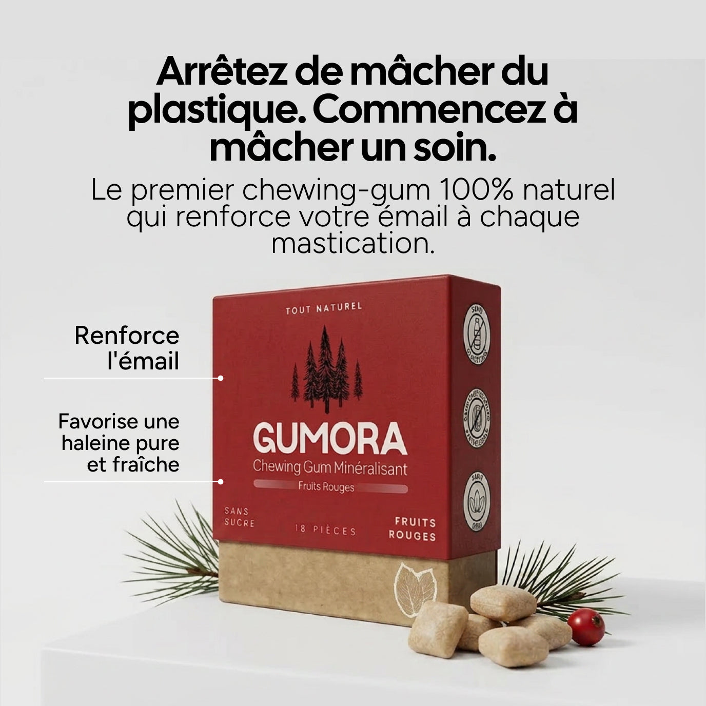 Gumora™ - Chewing Gums Reminéralisants